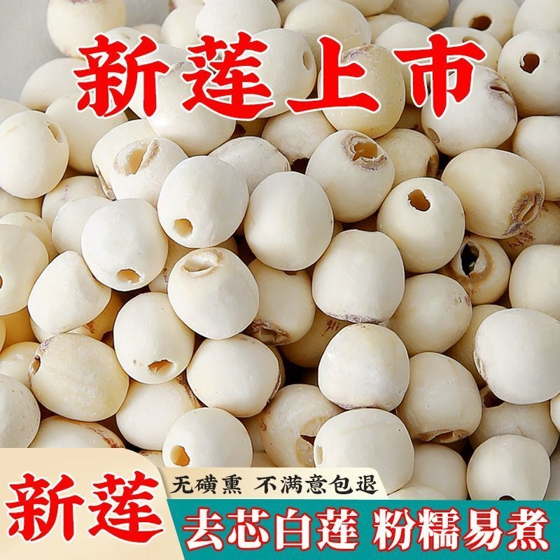 2024新莲上市 莲子干货 特级无磺莲子新鲜磨皮白莲野生去芯莲批发