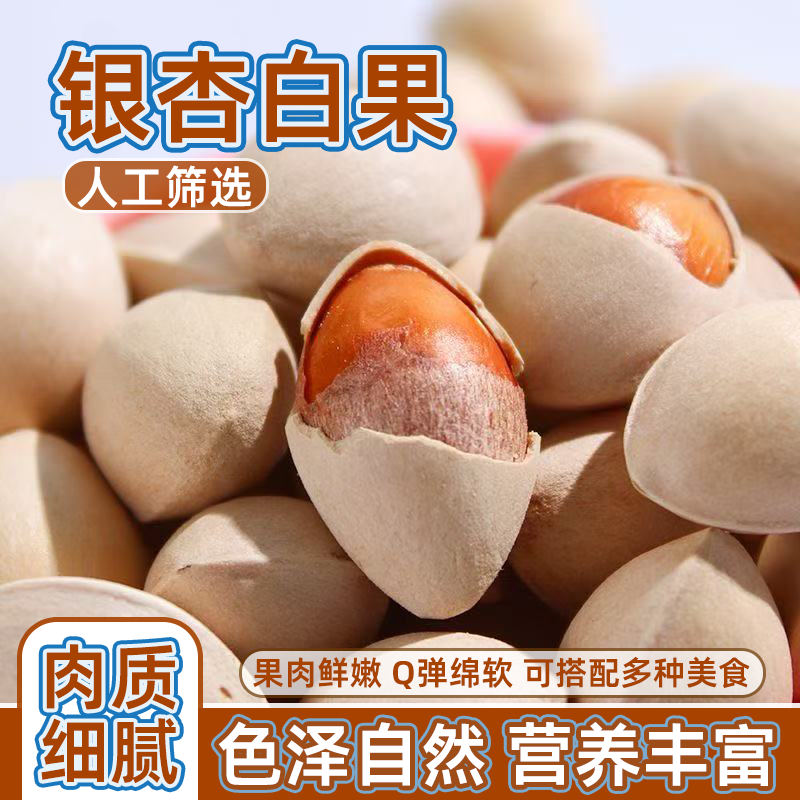 带壳新鲜生银杏果白果仁无漂白大果当季野生银杏果食用干果银杏仁