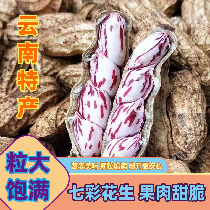 云南土特产新鲜新货七彩花生紫皮花生米晒干新货零食粒大饱满营养