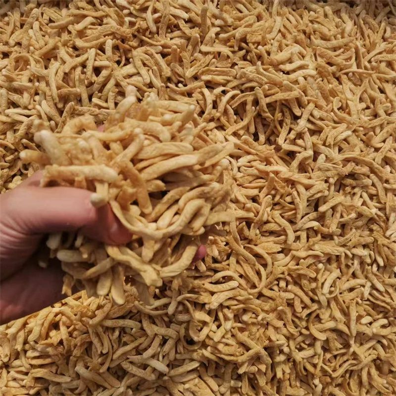 素肉丝干货豆制品素食炒菜煲汤凉拌小菜火锅豆皮蛋白肉批发特产