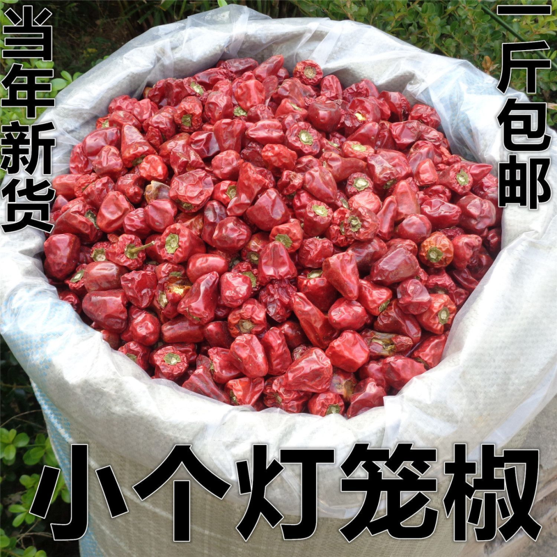 贵州小个灯笼椒 草莓椒 小灯笼椒中辣特香麻辣香锅火锅海椒干辣椒