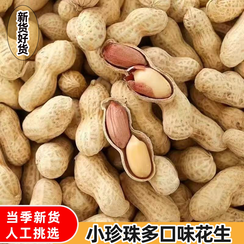 蒜香花生批发小珍珠晒干原多味带壳散装花生结婚炒货整箱水煮花生