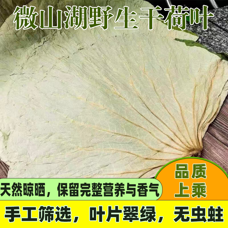 新干荷叶整张大张微山湖野生荷叶商用批发叫花鸡荷叶粥荷叶饭专用
