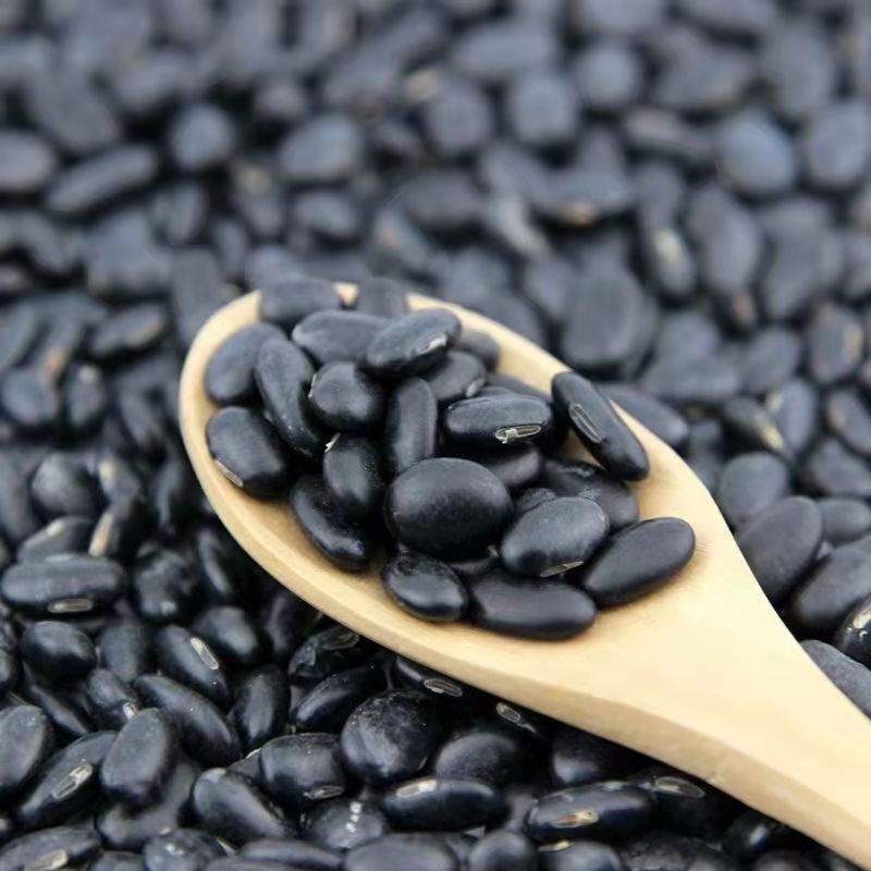 肾形小黑豆5斤黄心黑豆芽新鲜农家芽豆老品种老黑豆黄芯新货1斤