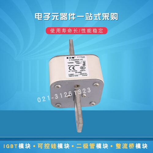 现货170M6616 6617 6618 6619 6620 6621 6629快速熔断器保险丝