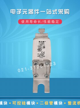 巴斯曼快速熔断器170M4822 4823 4824 4825 4826 4827 4828 4829