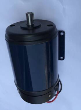 110T151A1直流电机直流永磁系列电动机375W110V直流电机图片