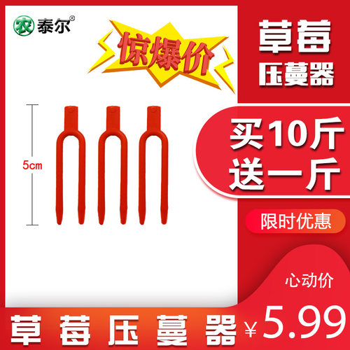 草莓压蔓器叉子圆口育苗叉压苗叉草莓夹子压蔓叉藤曼固定西瓜叉子