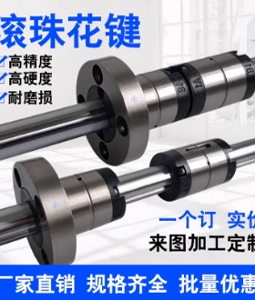 BSHN8 BSHS13 BSH2M15 BSH2N20 BSH2S25 BASBFSE-BSHM6滚珠导向轴