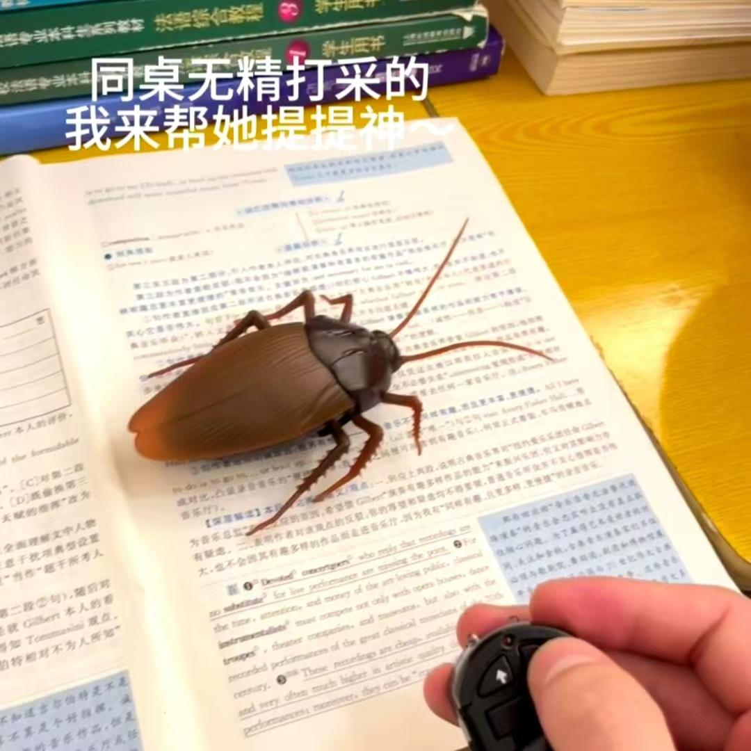 遥控蟑螂玩具仿真遥控动物玩具红外线整蛊遥控蟑螂模型逗猫小玩具
