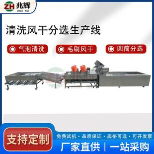 不锈钢自动柑桔柑橘气泡清洗毛刷风干分选线小型简易清洗风干分级