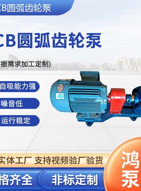 YCB-6圆弧齿轮泵燃油润滑油输送泵防爆齿轮泵大流量汽柴油齿轮泵