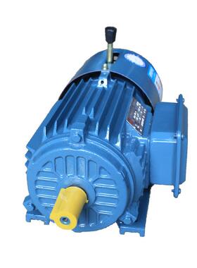 YEJ2电磁制动三相异步电动机YEJ225M-8极22W三相交流刹车电机