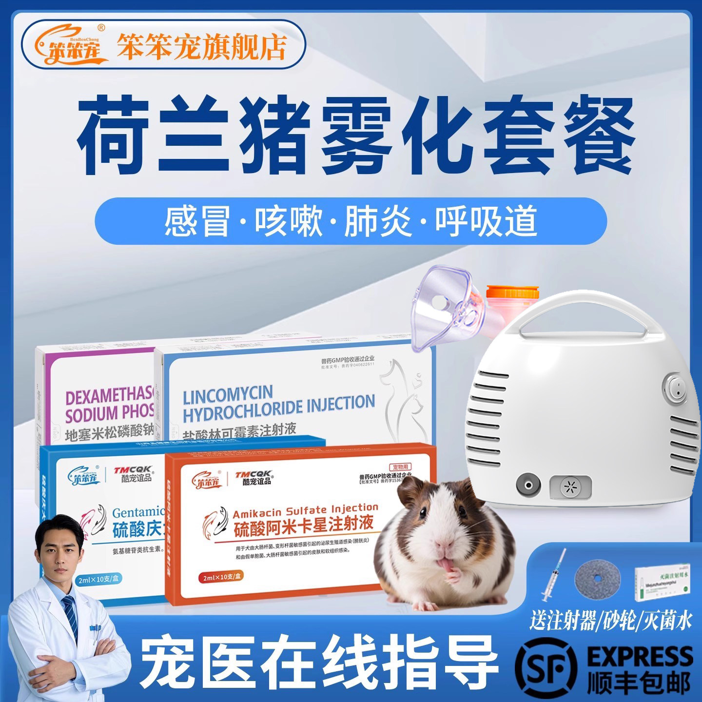 笨笨宠荷兰猪雾化感冒咳嗽打喷嚏