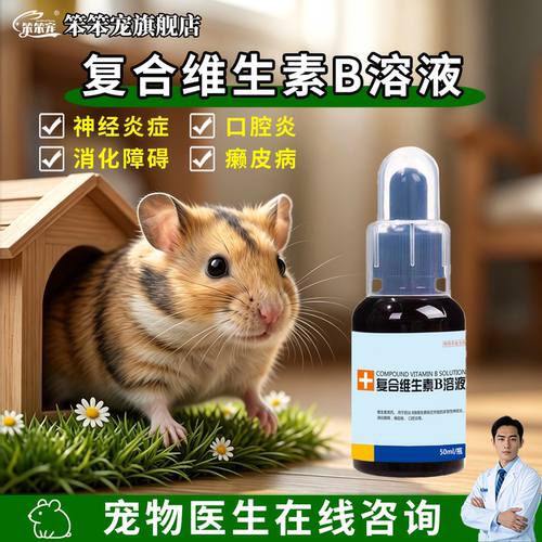 笨笨宠仓鼠蜜袋鼯癞皮病神经炎用