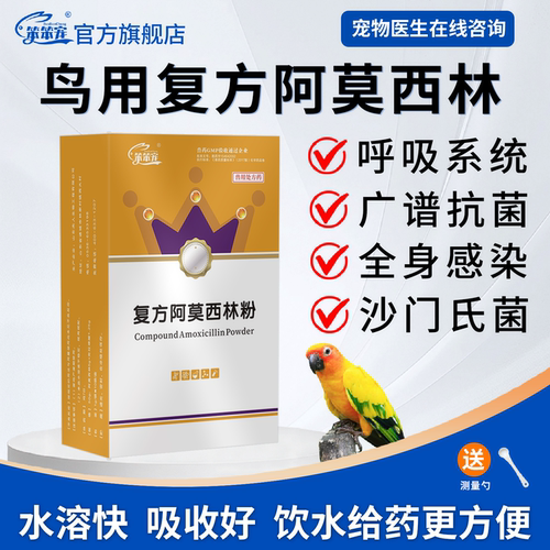 笨笨宠阿莫西林肺炎沙门氏菌用药