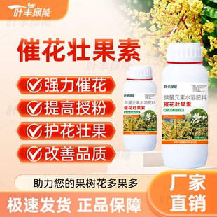叶丰绿能催花壮果素花芽分化剂专用果树催花促果细胞分裂素叶面肥