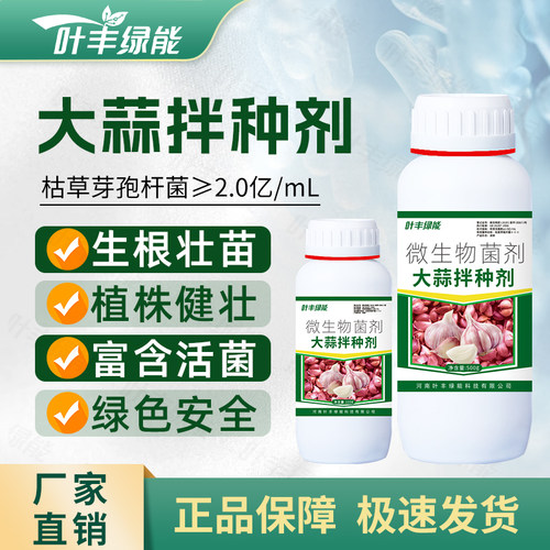 大蒜专用生根催芽壮苗拌种剂