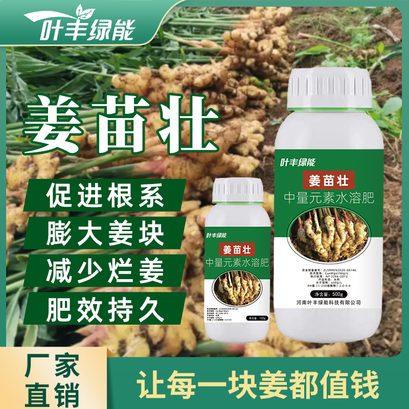 500W+生姜种植大户抢着用！
