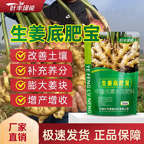 生姜底肥宝专用有机复合肥补充养分改善土壤生姜根中量元素水溶肥