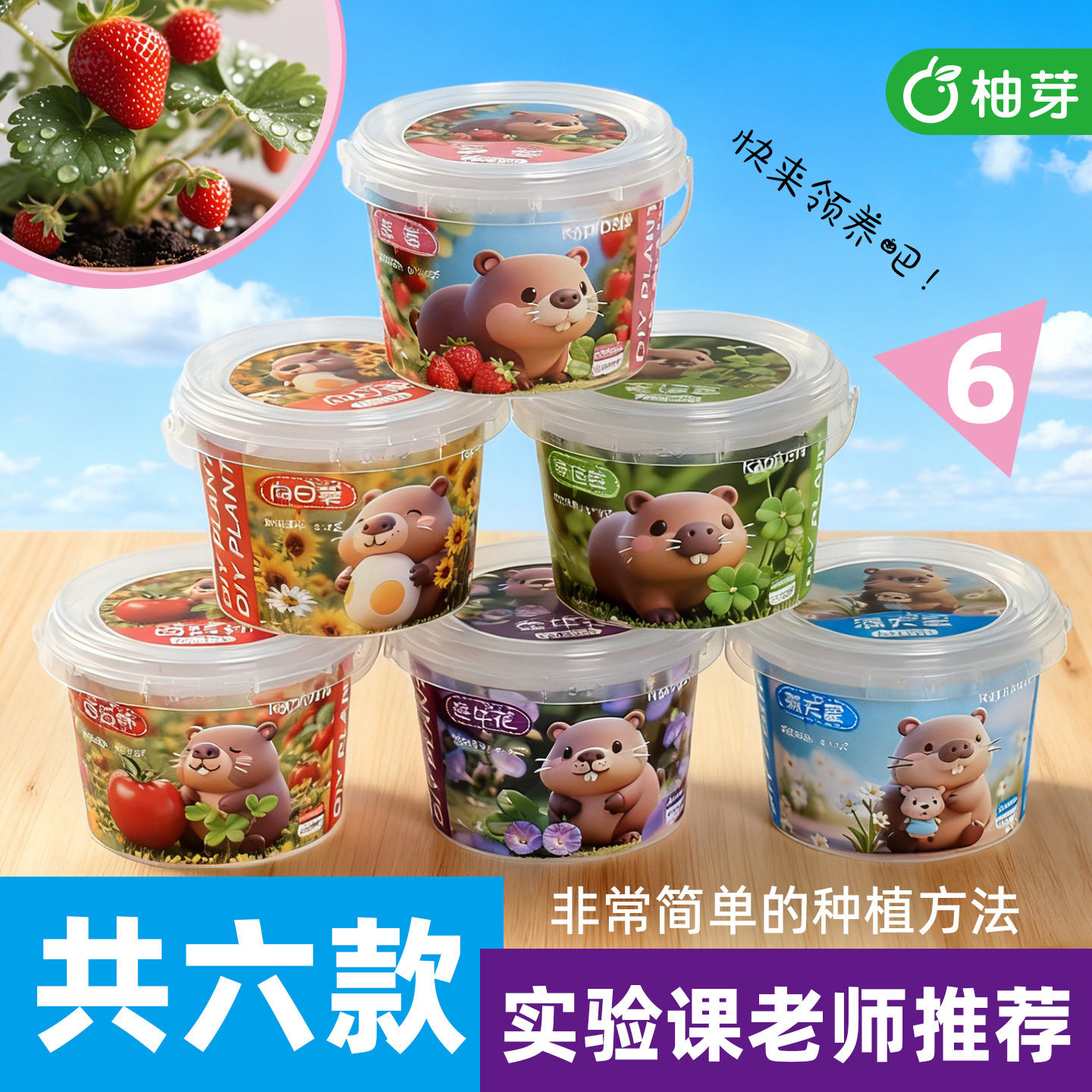 卡皮巴拉小提盆栽儿童种植小盆栽学生桌面迷你花卉盆景摆件新年礼品创