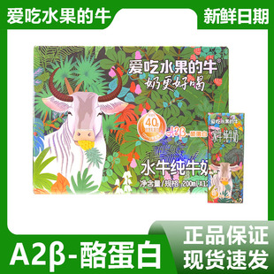 新品 酪蛋白4.0g水牛纯牛奶200ml 上市 牛A2β 12盒 爱吃水果