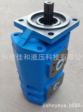 打桩机配套CBGJ2100/2032双联齿轮泵 多种规格 噪音低