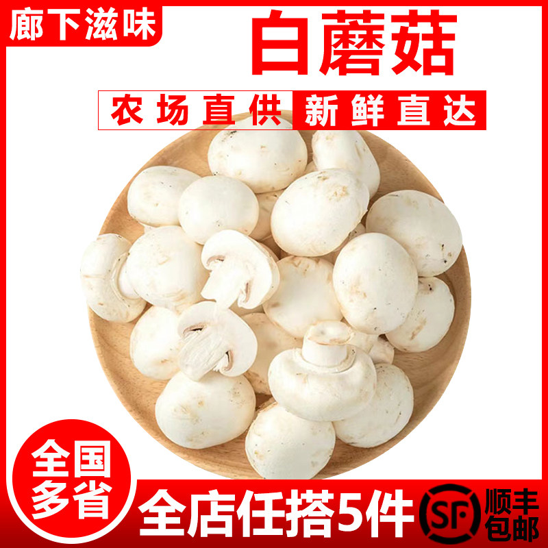 【廊下滋味】白蘑菇500g 新鲜食用菌菇 烧烤菇双孢菇煲汤蔬菜顺丰