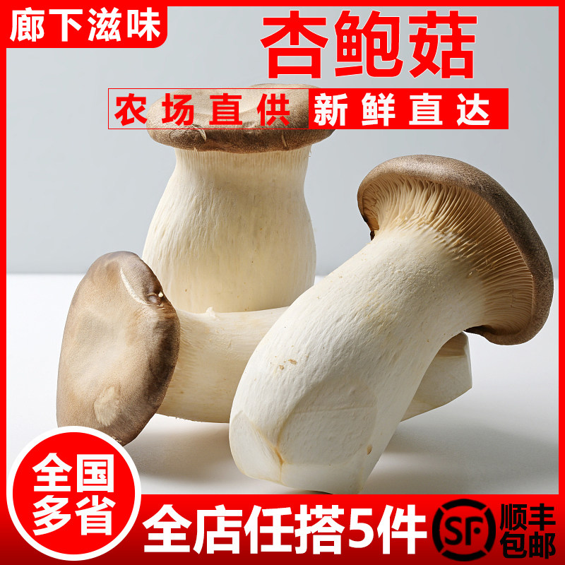 杏鲍菇鸡腿菇 火锅食材双拼 鲜嫩菌菇 新鲜蔬菜 顺丰发货基地直发,水产肉类/新鲜蔬果/熟食,新鲜松茸/菌菇,淘宝优惠券,粉丝福利购,淘宝优惠卷