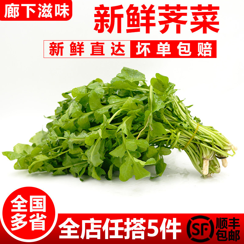 新鲜大叶荠菜500g 野菜农家蔬菜现挖香荠菜新鲜菜馄饨饺子馅食材,水产肉类/新鲜蔬果/熟食,叶菜类,淘宝优惠券,粉丝福利购,淘宝优惠卷
