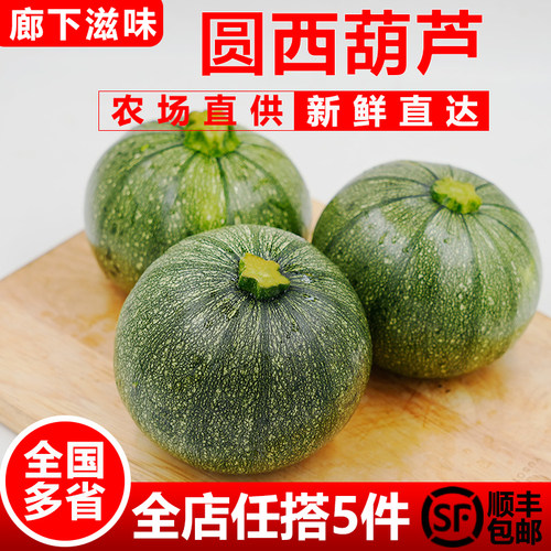 新鲜圆形西葫芦2-5斤水煮菜蘸水