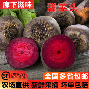 包邮 廊下滋味甜根菜甜菜头紫菜头新鲜蔬菜榨汁摆盘装 饰1斤3斤5斤