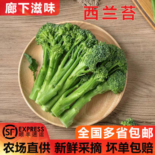 廊下滋味新鲜西兰苔兰花苔