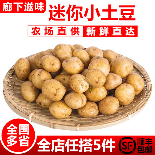 廊下滋味迷你小土豆500g