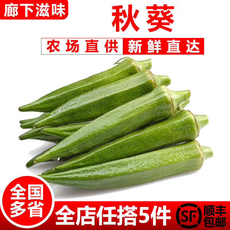 【廊下滋味】秋葵500g 新鲜黄秋葵 六角羊角豆洋辣椒 5件顺丰包邮