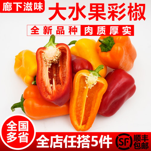 新品种 肉质厚实 基地直发 新鲜直达