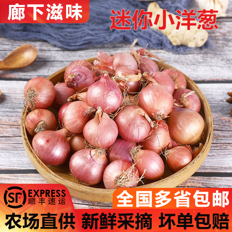 廊下滋味迷你小洋葱500g