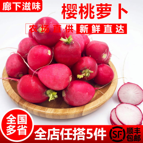 樱桃萝卜500g迷你小红萝卜