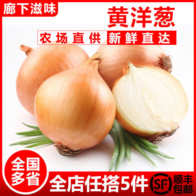 【廊下滋味】黄洋葱500g 白洋葱圆葱头蔬菜新鲜农家自种包邮,水产肉类/新鲜蔬果/熟食,洋葱/红葱头,淘宝优惠券,粉丝福利购,淘宝优惠卷