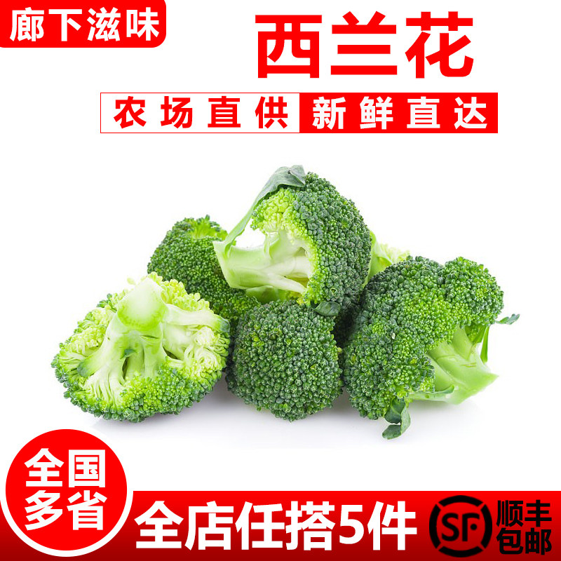 【廊下滋味】西兰花500g 小颗西兰花朵青花菜绿西蓝花椰菜农家菜