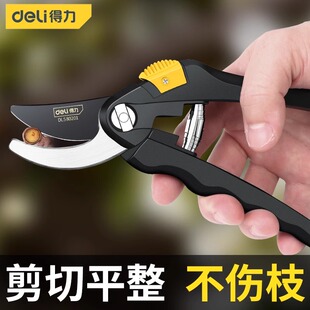 得力园艺剪刀果树剪树枝专用剪刀园林修枝条剪枝粗枝花艺修花工具