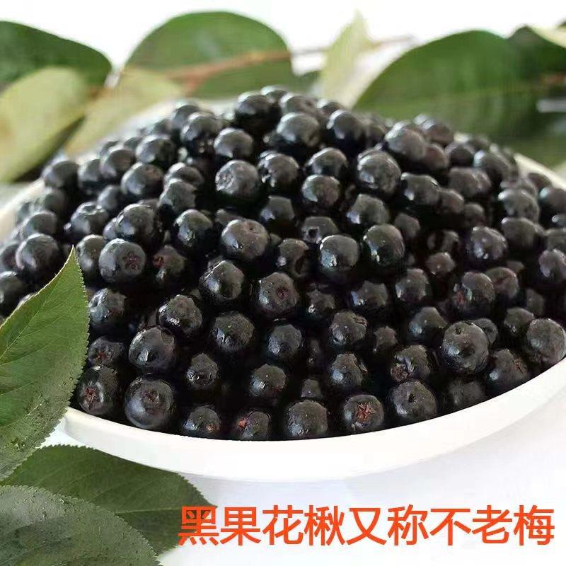 产地货源黑果花楸厂家不老莓黑樱莓果干蜜饯黑果花楸