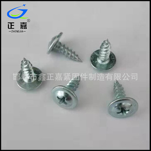 厂家供应加硬圆头华司自攻丝 大扁头自攻丝 华司尖尾自攻钉