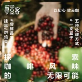 怒江精品咖啡百分之百阿拉比卡新鲜烘焙 烘焙豆尝鲜 挂耳