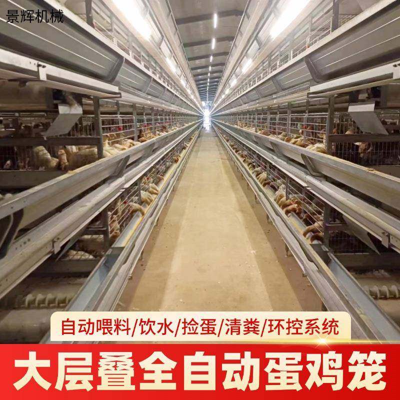 自动化蛋鸡养殖设备鸡舍自动捡蛋集蛋鸡笼镀锌大层叠式蛋鸡笼厂家,畜牧/养殖物资,特种养殖设备,淘宝优惠券,粉丝福利购,淘宝优惠卷