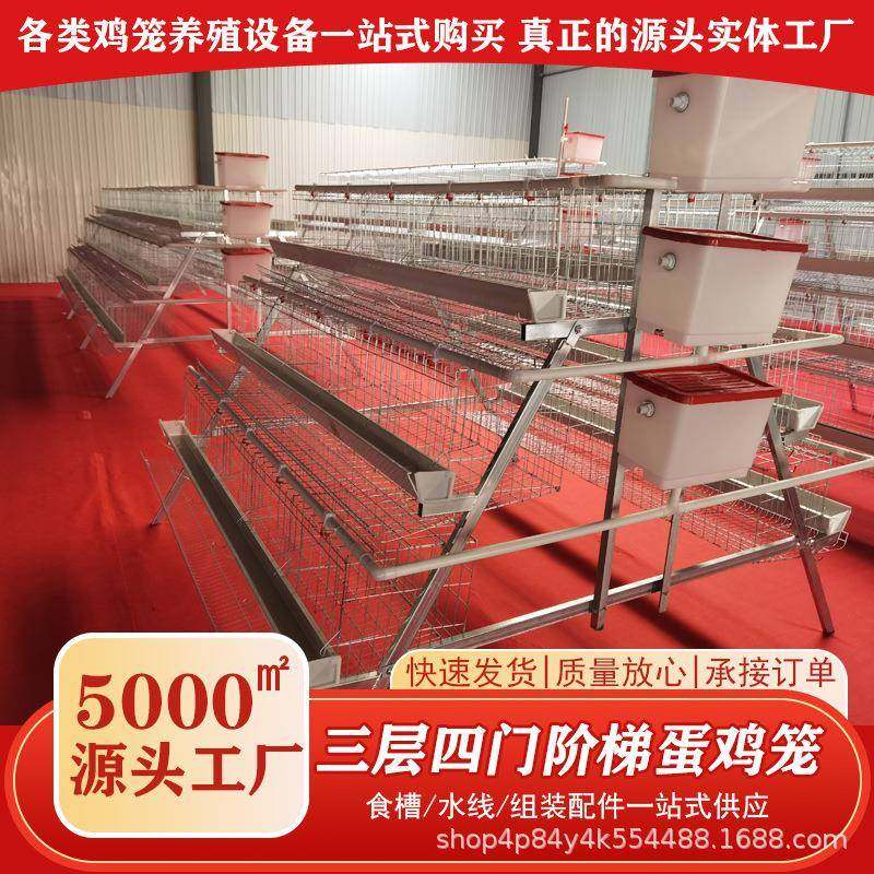 热镀锌阶梯蛋鸡笼自动化框架式育雏笼三层四层立体防锈养殖肉鸡笼,畜牧/养殖物资,特种养殖设备,淘宝优惠券,粉丝福利购,淘宝优惠卷