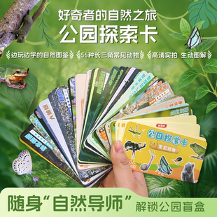 追芒公园探索卡长三角动物自然探索任务卡56种昆虫科普卡片观察