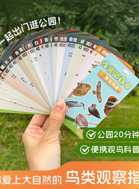 追芒户外观鸟入门探索任务卡鸟类科普图鉴观察自然卡片轻便夜鹭