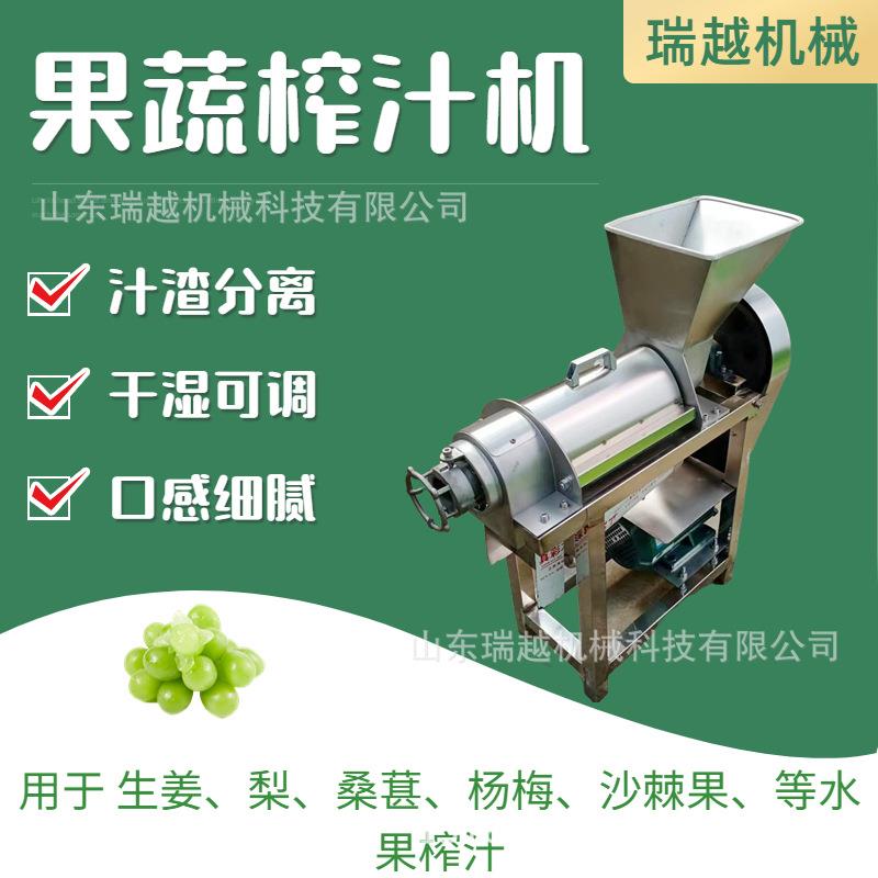 沙棘果榨汁机多功能桑葚榨汁机苹果破碎榨汁机工业梨榨汁设备