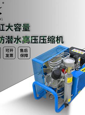 潜水打气机高压充气泵30mpa消防空气呼吸高压空压机310bar